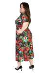 503m-for plus size forema alocasia 5